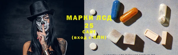 мяу мяу мука Баксан