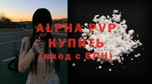 PSILOCYBIN Балабаново