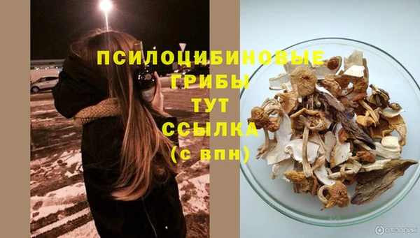 амф Балахна