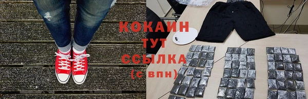 мяу мяу мука Баксан