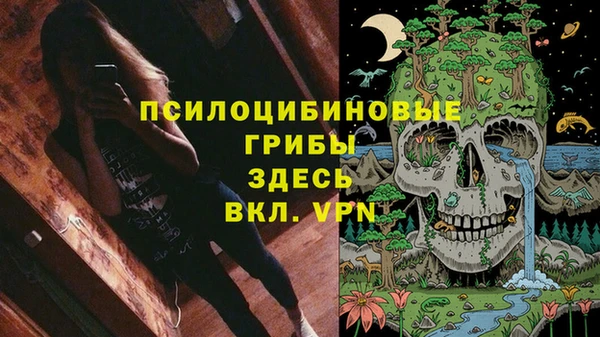 PSILOCYBIN Балабаново