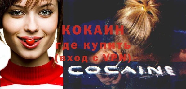 спайс Няндома